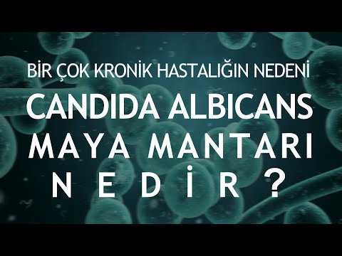 Birçok kronik hastalığın nedeni "Candida Albicans (Maya Mantarı) Nedir?