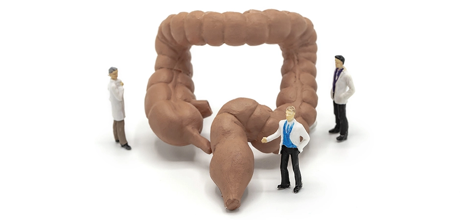 Diyet ile normal bağırsak florası nasıl desteklenir? Un ve şekerden fakir, sebze, meyve, et ve yumurta gibi doğal gıdalardan zengin bir diyet bağırsak florasının koruyuculuğunu artırır...